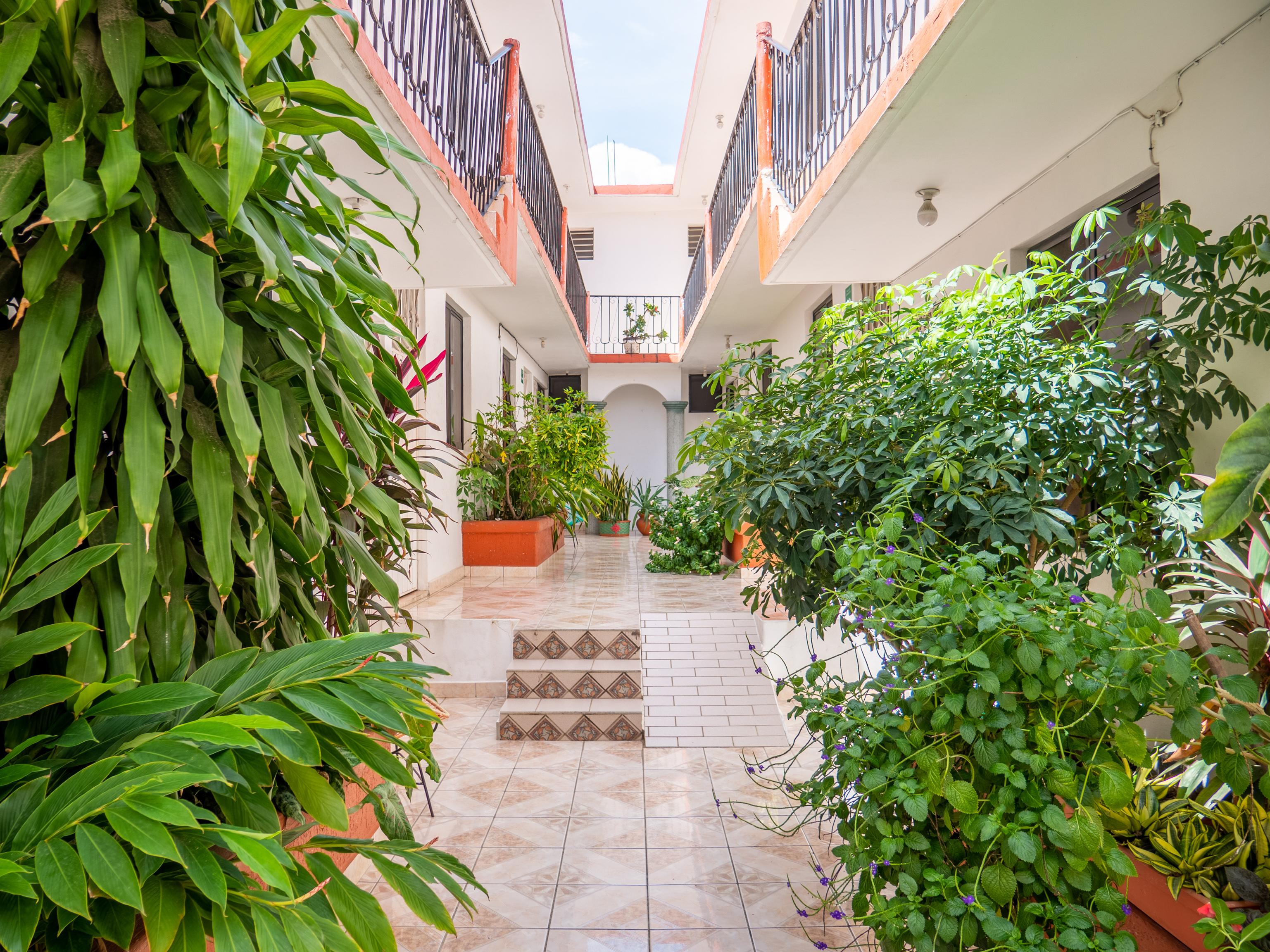 Oyo Hotel Arena Surf, Puerto Escondido Puerto Escondido  Exterior photo